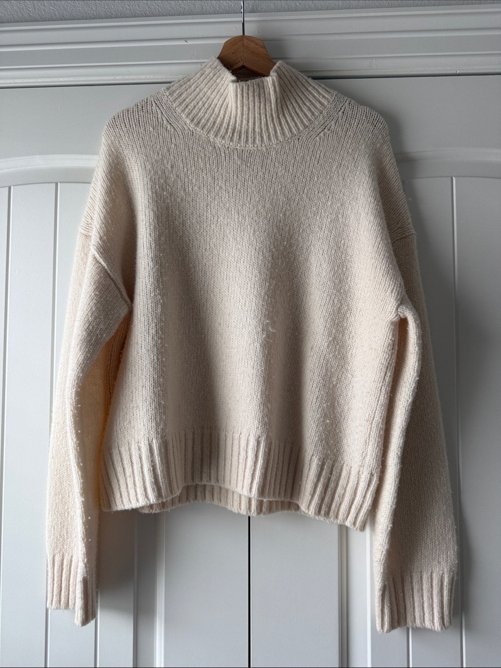 Everlane Turtleneck Sweater
